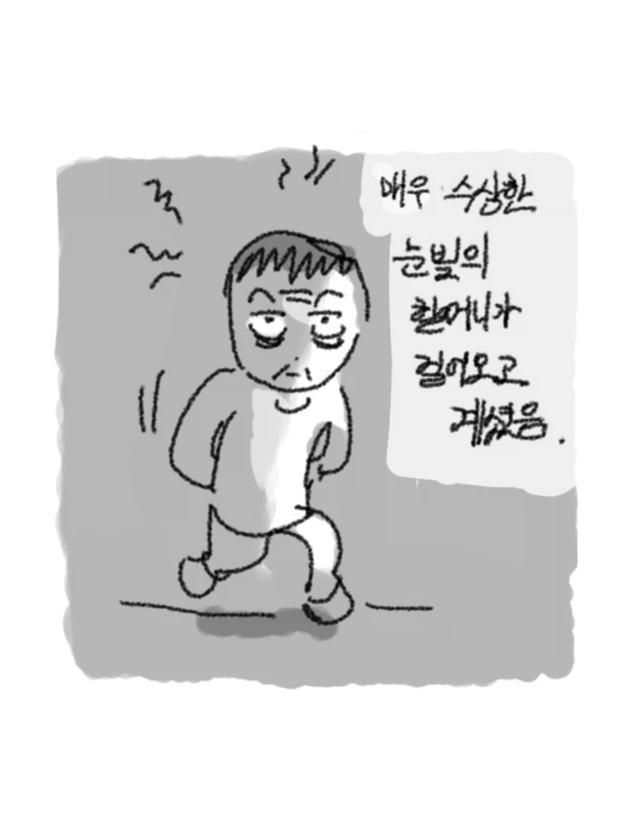 기묘하고 수상한 할머니 만화 - 이미지 2