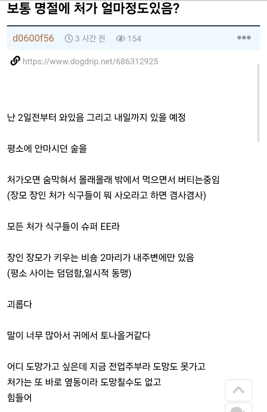 I성향 사위가 E성향 명절 처가에서 겪은 일