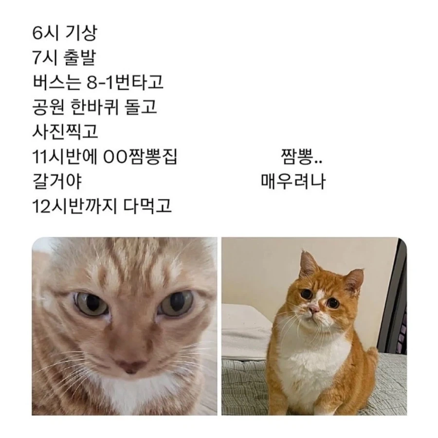 j와 p의 여행