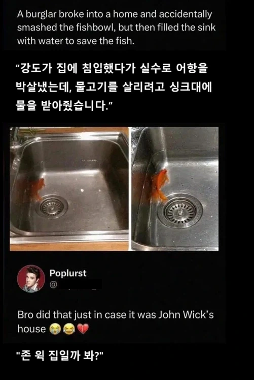 실수로 어항을 깬 강도