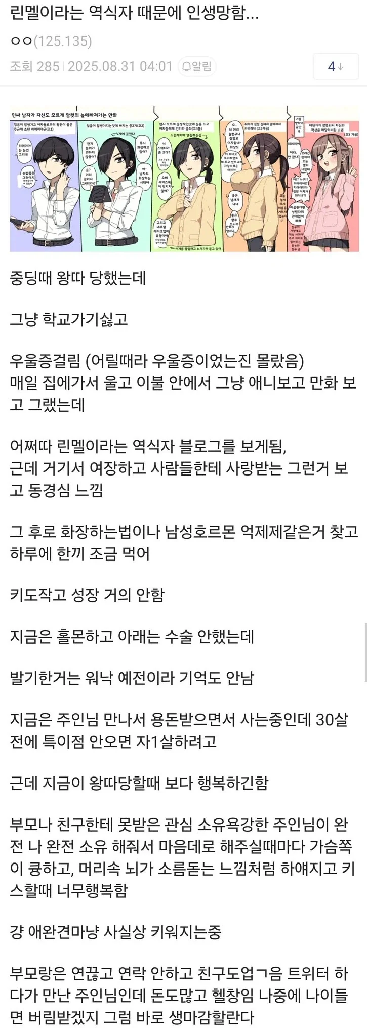 린멜이라는 역식자 때문에 인생망함...