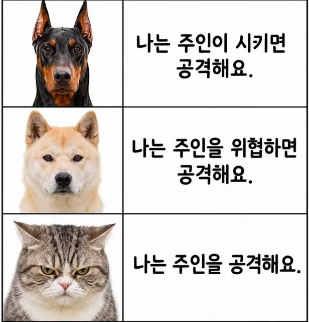 검댕 vs 흰댕 vs 냥