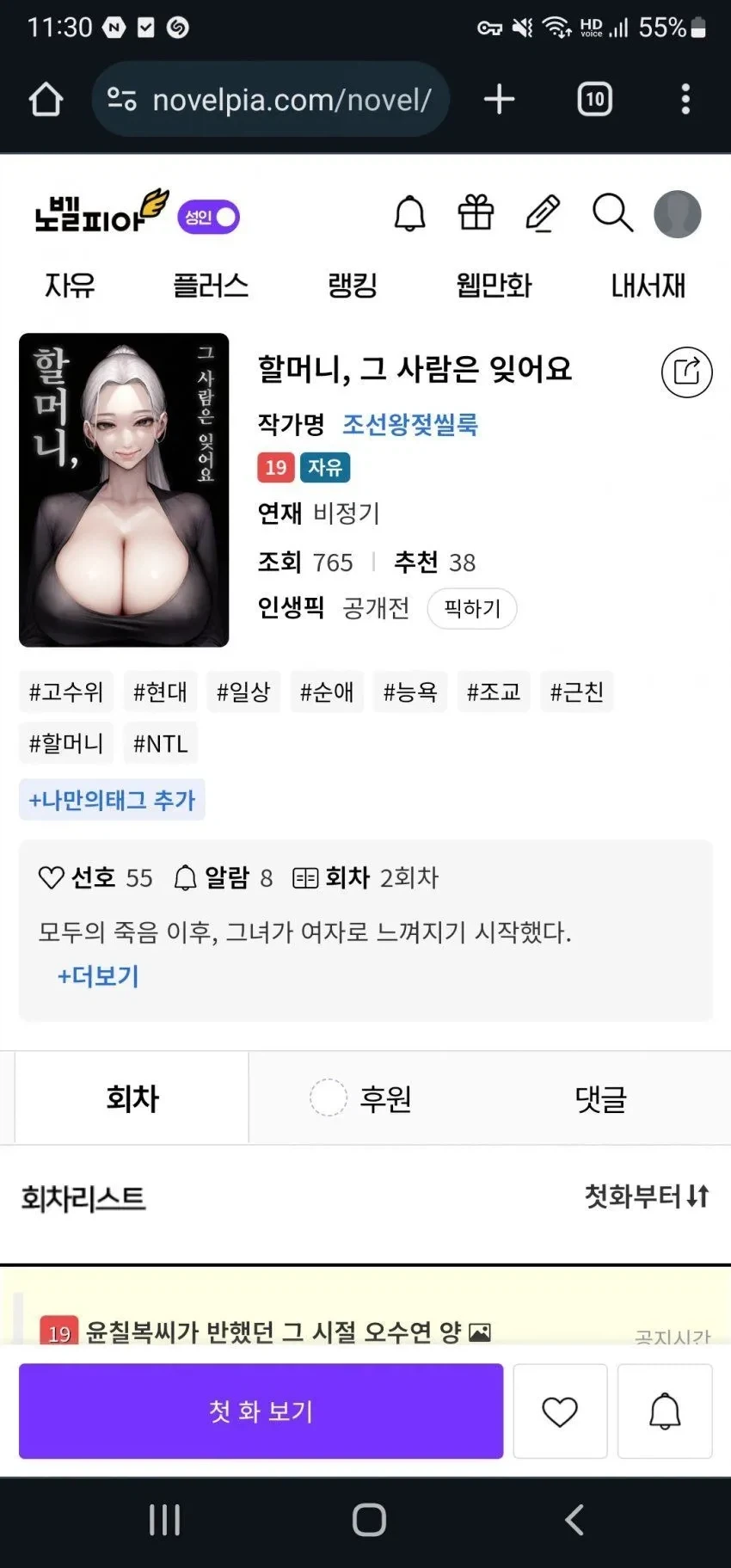19금 웹 소설