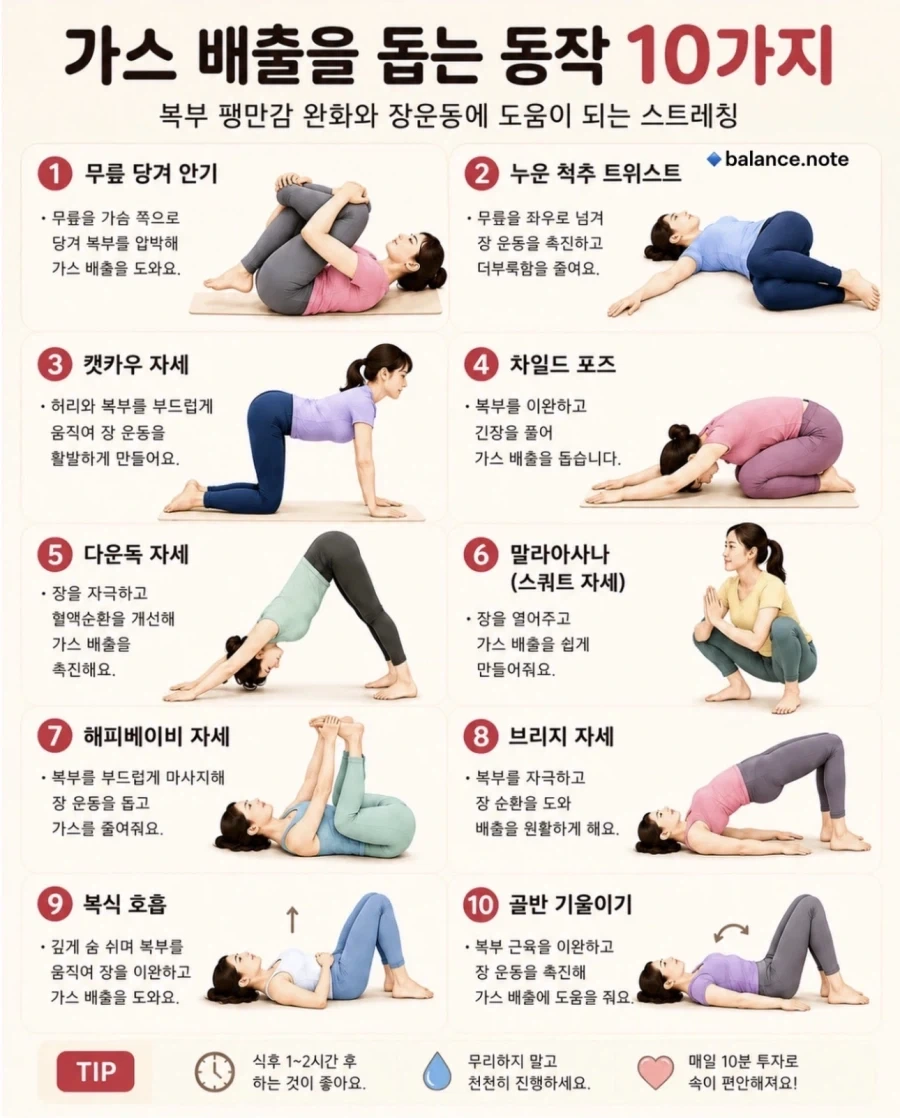 다들 잘자가스