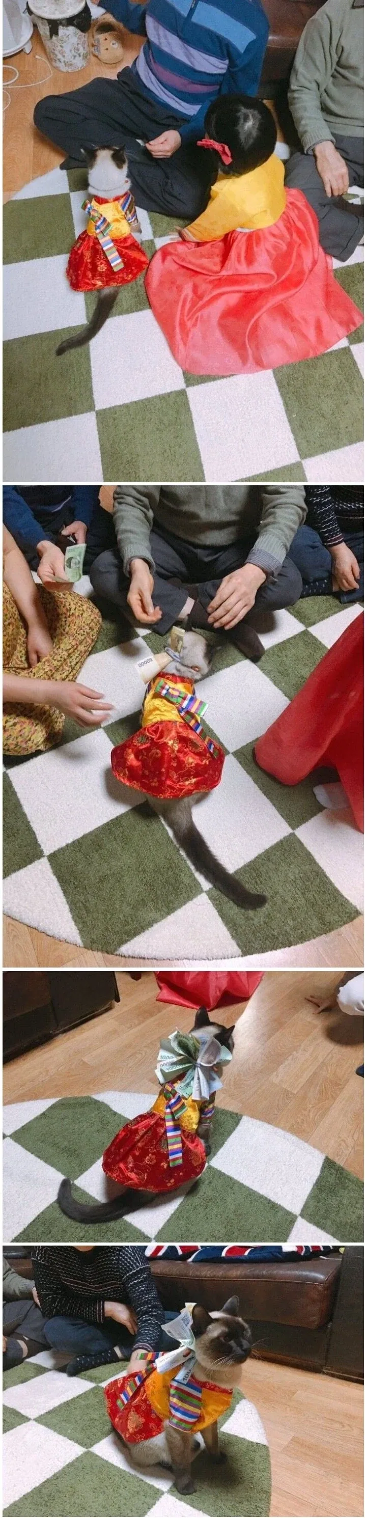 한복입고 세뱃돈 받는 태국 아가씨