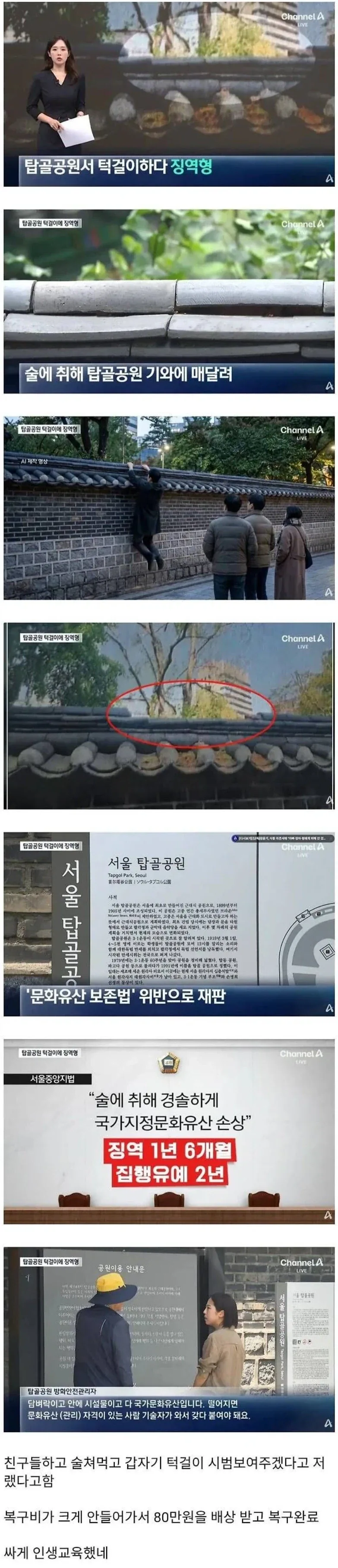 턱걸이 하다가 전과자가 된 돌대가리