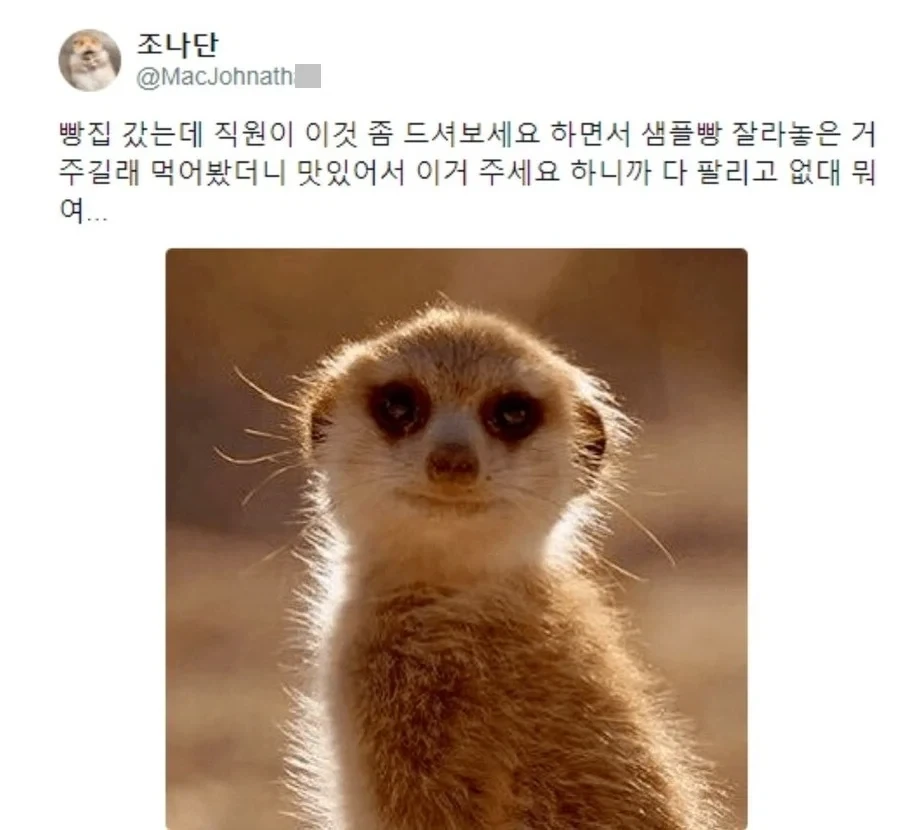 빵집 직원의 티배깅