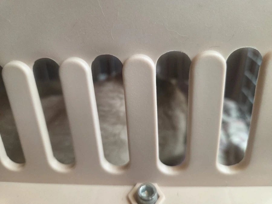 추석연휴 끝나고 집에서 뻗은 우리집 고양이