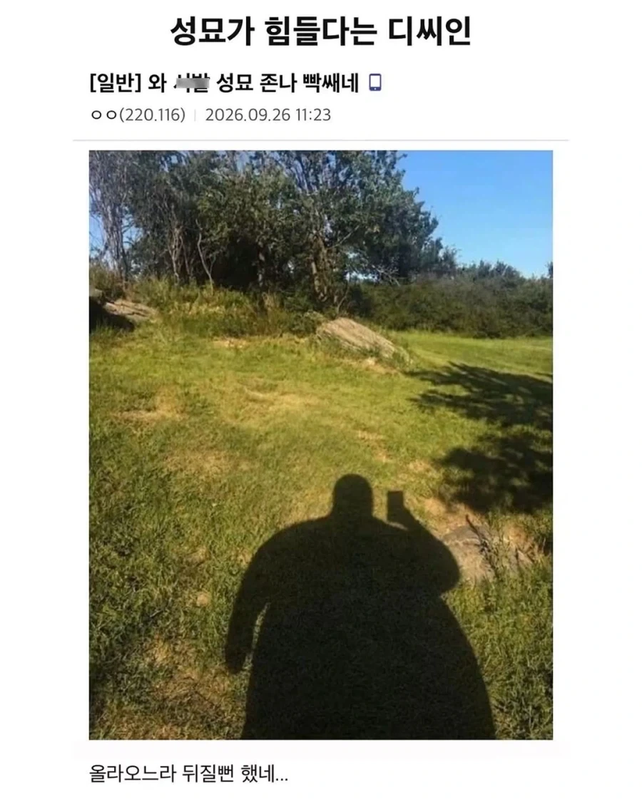 성묘가 힘들다는 디씨인.jpg