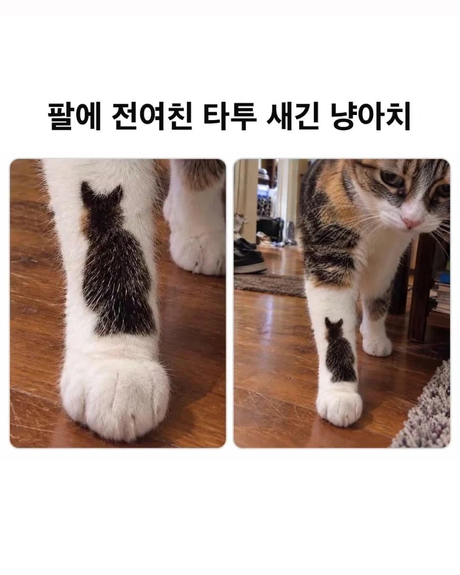 팔에 전여친 타투.jpg