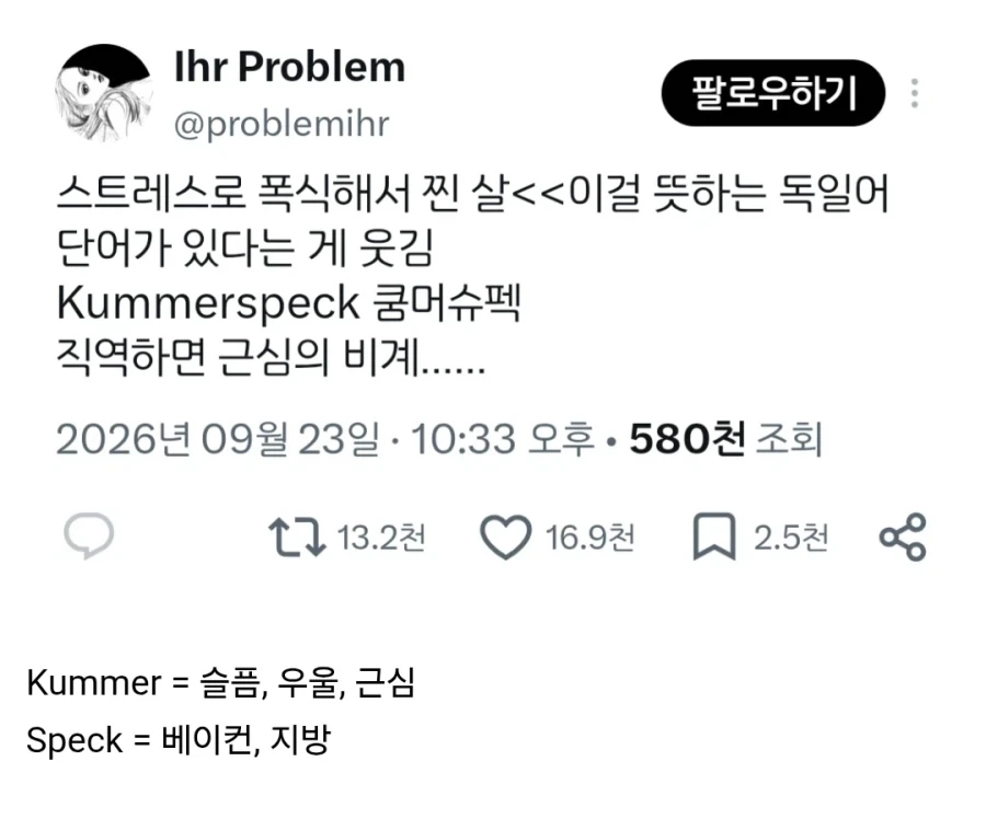 스트레스 때문에 폭식해서 찐 살을 의미하는 단어는?