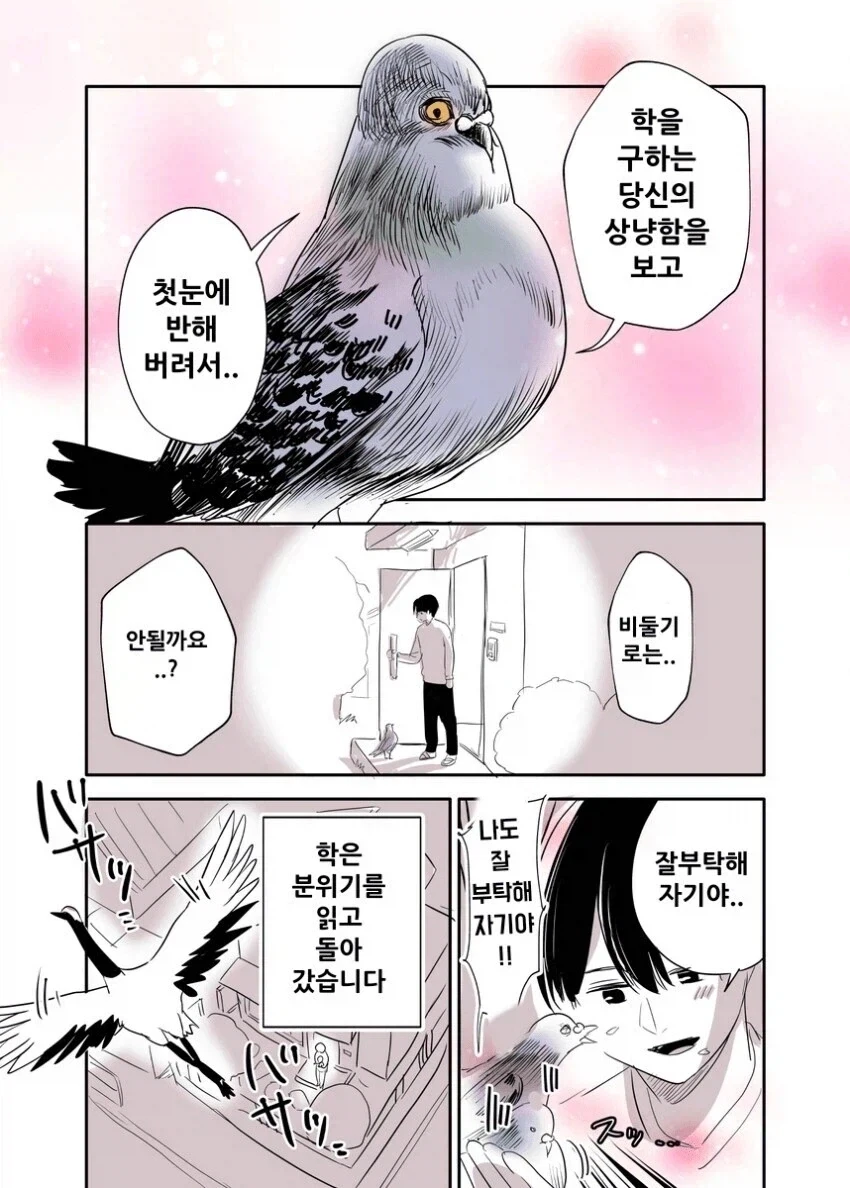 은혜를 갚지 못한 학 - 이미지 4