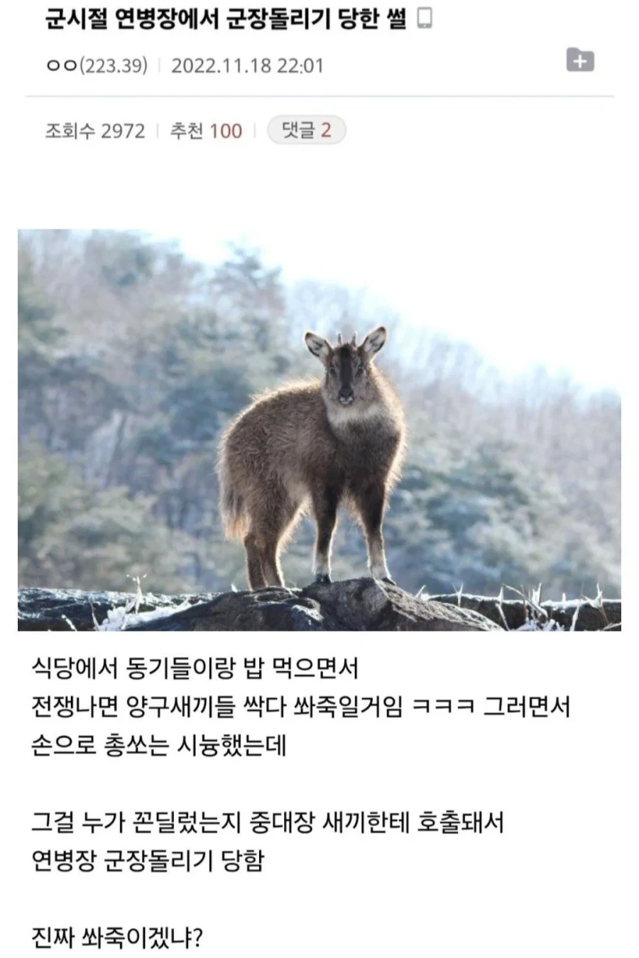 식당에서 민간인 욕해서 군장돌리기 당함..
