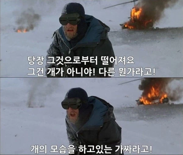 매번 속는 사람이 나오는 사진 - 이미지 2