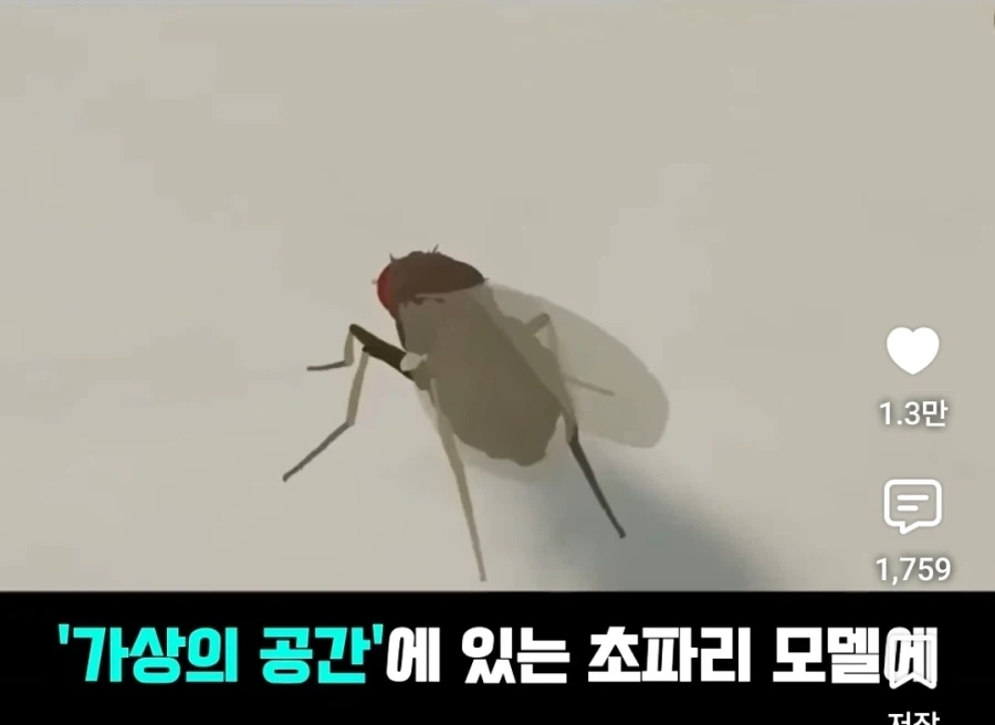 초파리의 전뇌 실험이 소름돋는 이유 ㄷㄷㄷㄷㄷㄷ - 이미지 3