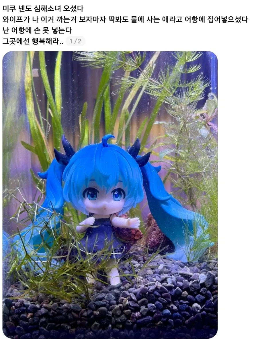 심해소녀 미쿠.jpg