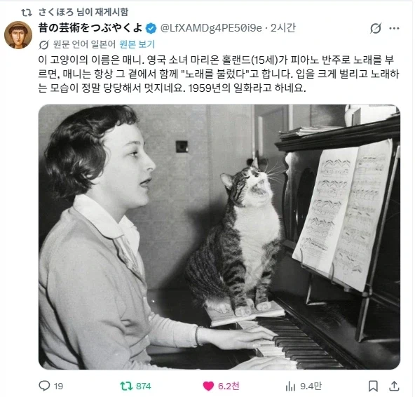 피아노를 치면 같이 노래해주는 고양이