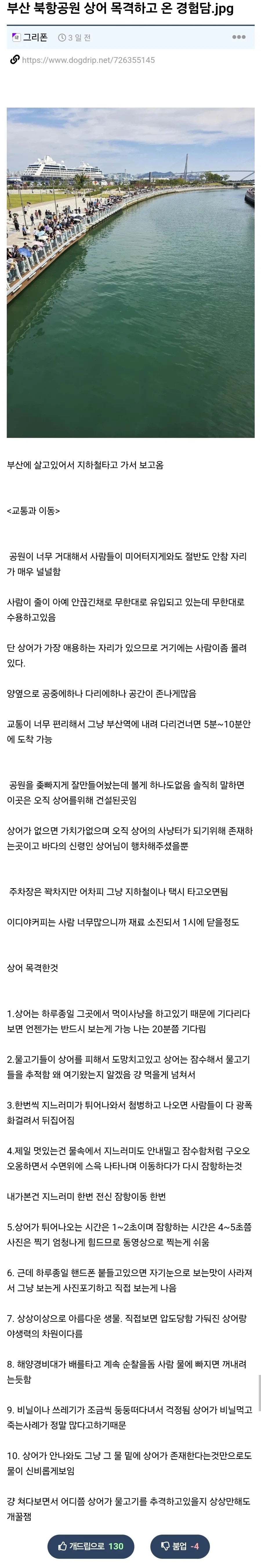 부산 북항공원 상어 목격하고 온 경험담.jpg