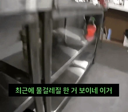 완료가 불가능한 퀘스트.jpg - 이미지 14