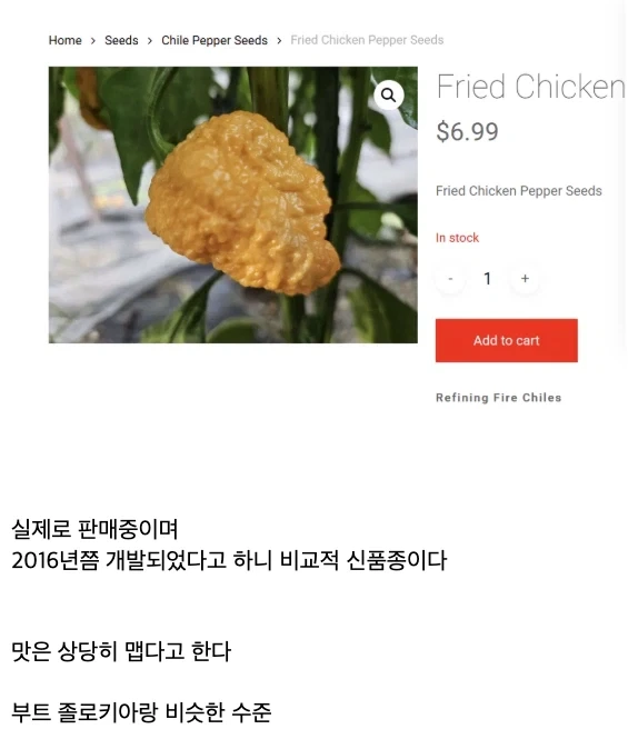 어떻게 고추가 치킨처럼 생김 - 이미지 2