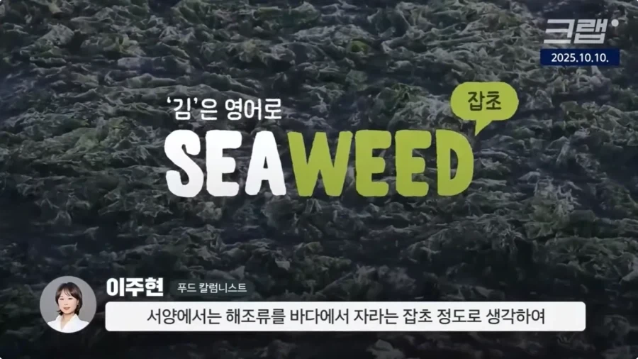 예전 서양인들은 먹지 않았던 김 - 이미지 3