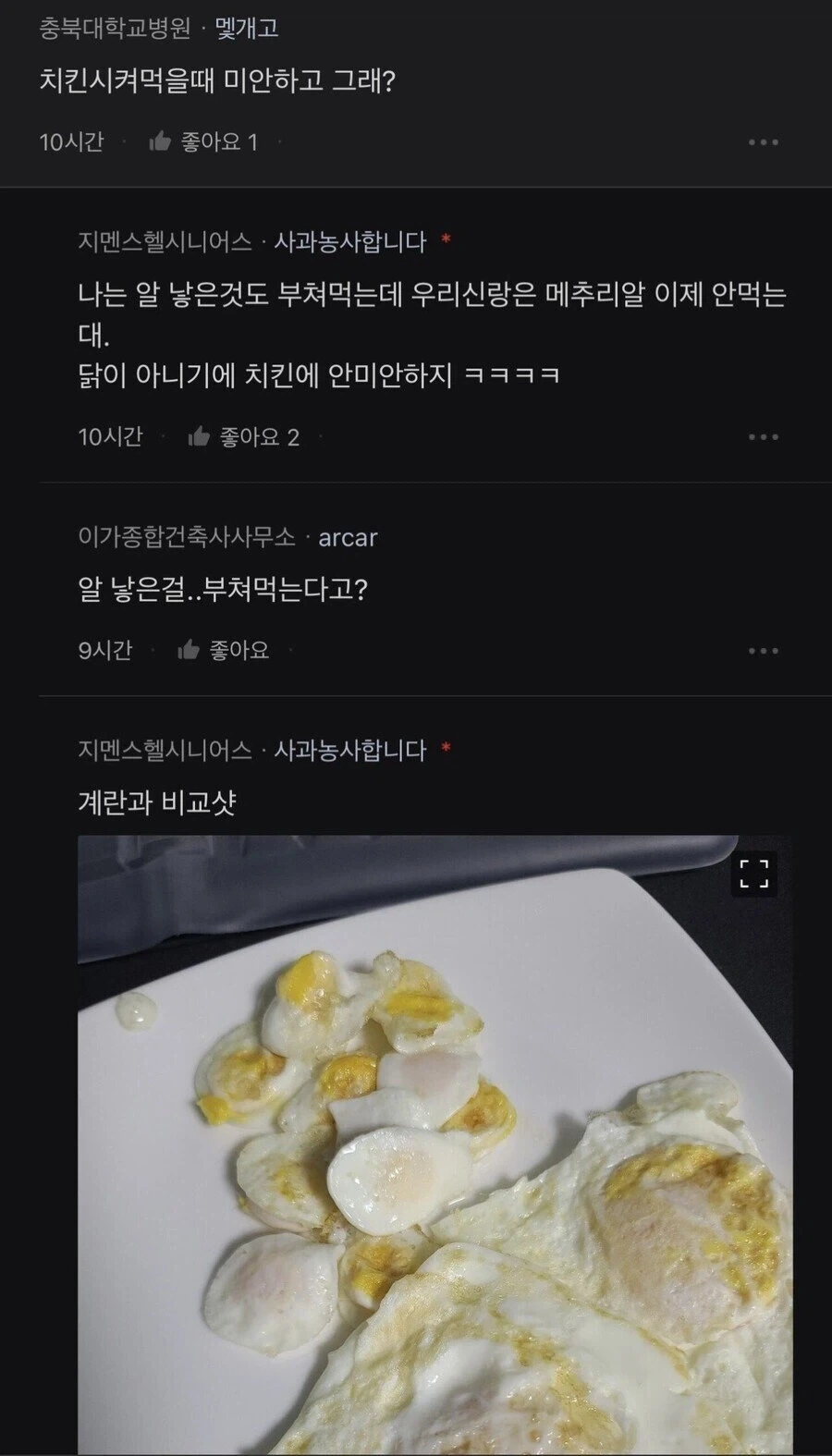 메추라기 자랑.jpg - 이미지 7
