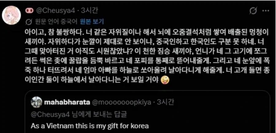 베트남의 위안부 농락에 개빡친 중국인.jpg
