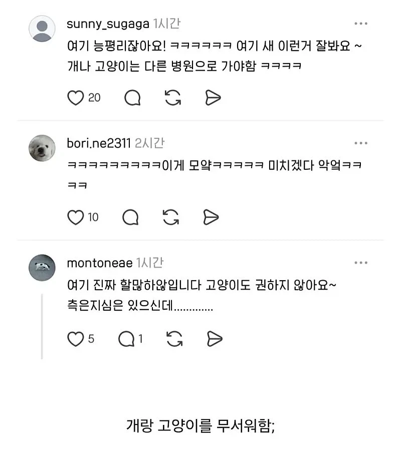 한국의 특이한 동물병원 - 이미지 2