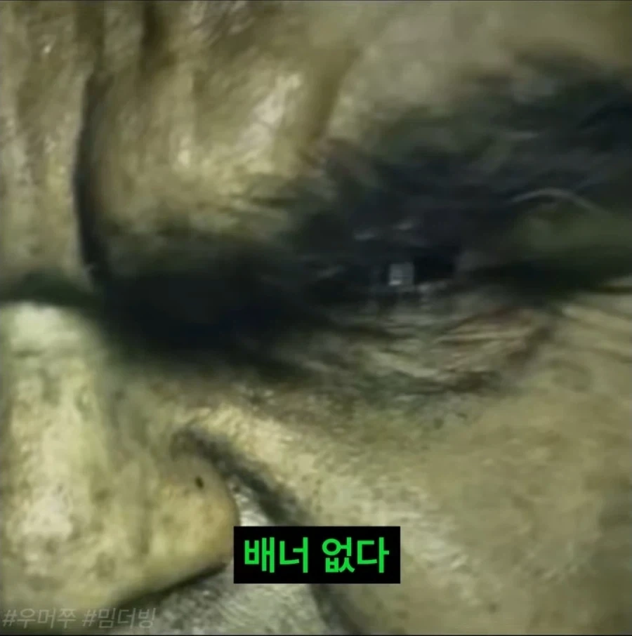 MCU) 만약에 헐크가... - 이미지 3