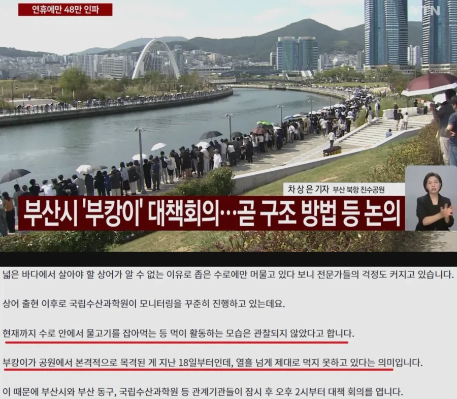 국립수산과학원 "부산 상어 먹이활동 없는 상태.." 오후 2시 대책 회의 - 이미지 2