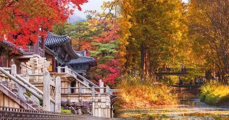 외국인들이 한국에서 가장많이 가는 장소 - 이미지 6
