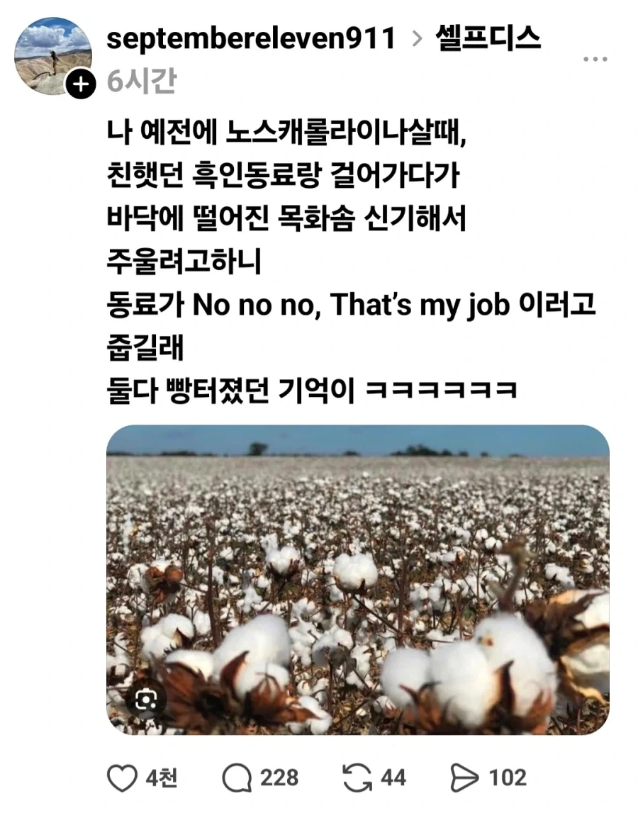 자기 일을 뺏겨서 화난 흑인