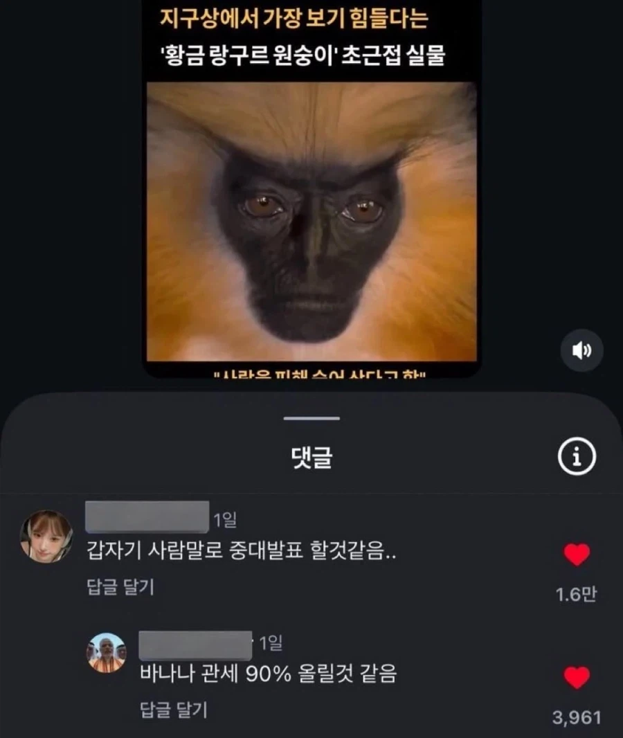 갑자기 사람 말로 중대발표하는