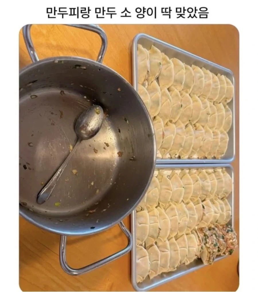 만두 만들다 기분 좋을때