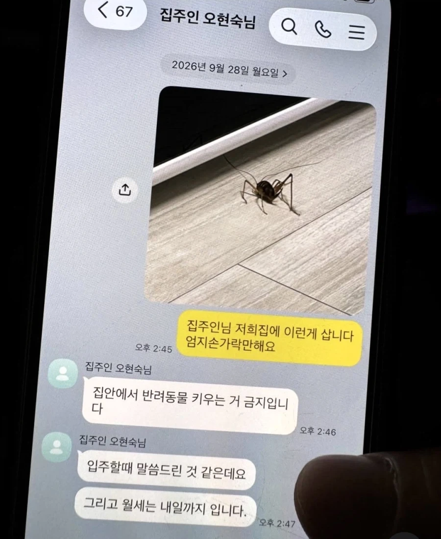 의외의 반려동물