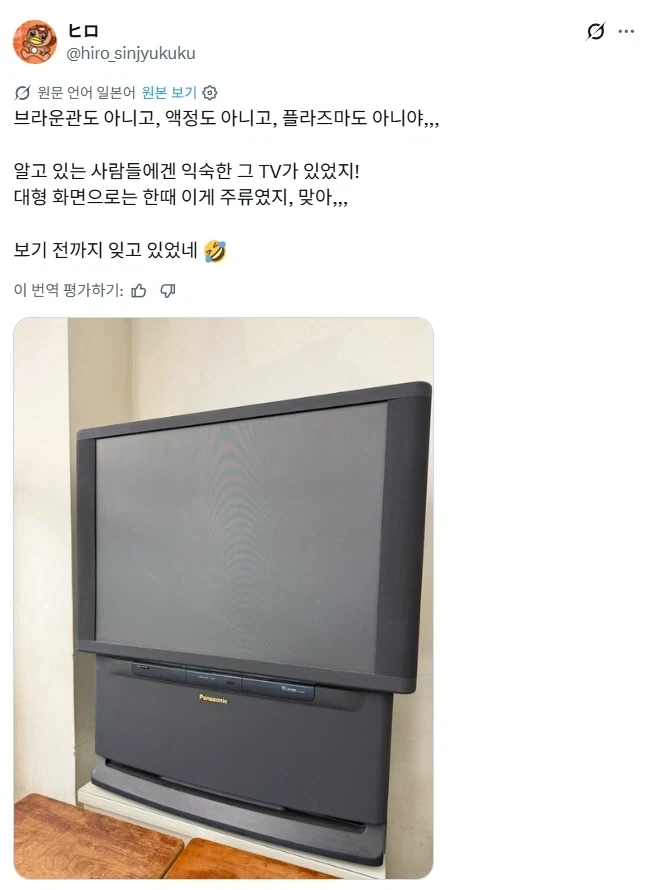 한때 반짝 주류였던 대화면 TV.jpg
