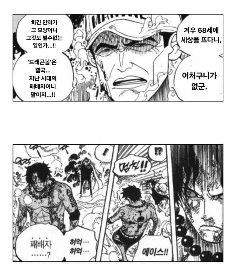 원피스) 에이스가 빡쳐서 들이박은 개연성