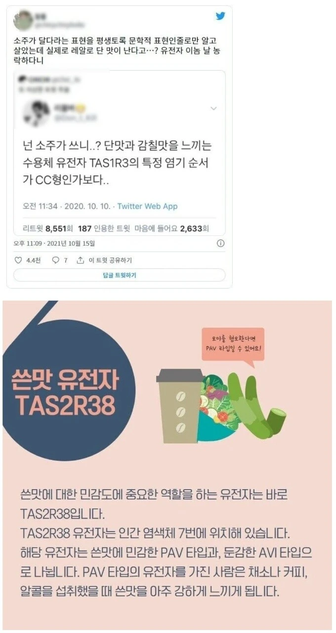 재평가되는 소주 허세 만화 - 이미지 16