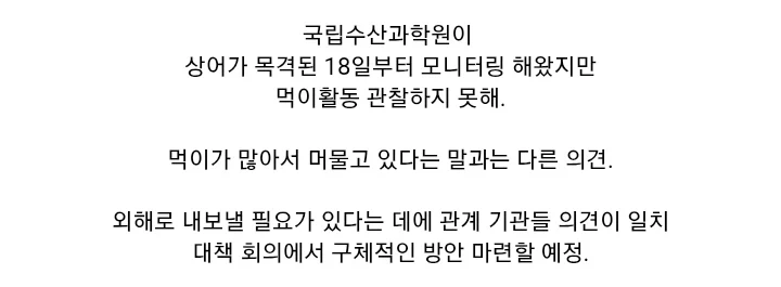 국립수산과학원 "부산 상어 먹이활동 없는 상태..".... 대책 회의 - 이미지 2
