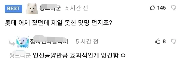 국립수산과학원 "부산 상어 먹이활동 없는 상태..".... 대책 회의 - 이미지 3