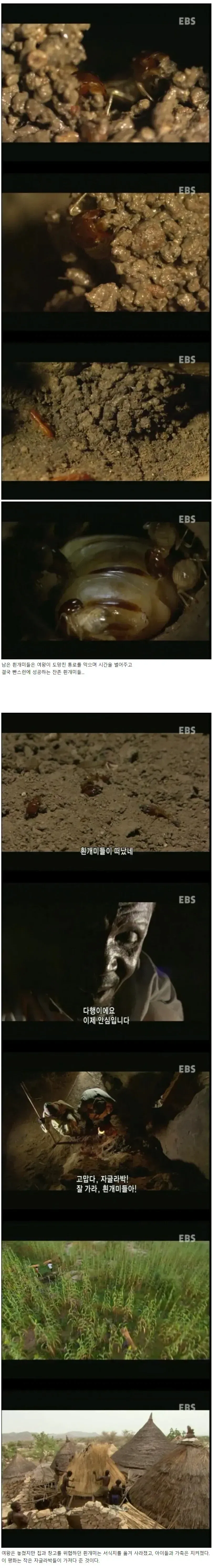 우리의 적들을 몰아내주소서 - 이미지 2