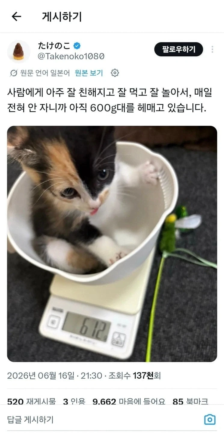 남편이 갑자기 결혼해줘서 고맙다고 함. - 이미지 2