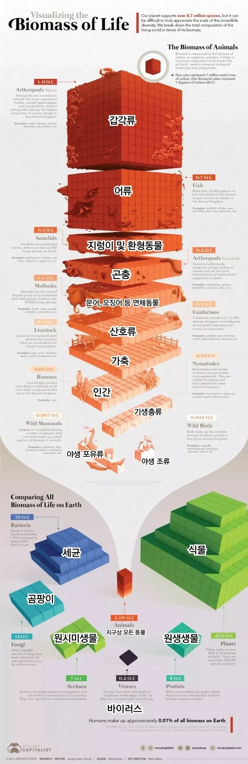 무게 기준 세상에서 가장 많은 생물.jpg