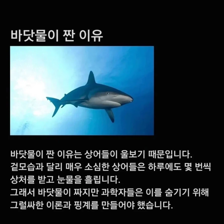 너무슬픔) 바닷물이 짠 이유