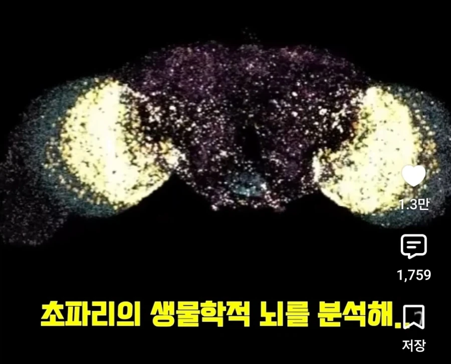 디지털 세계에서 구현화된 초파리의 신비