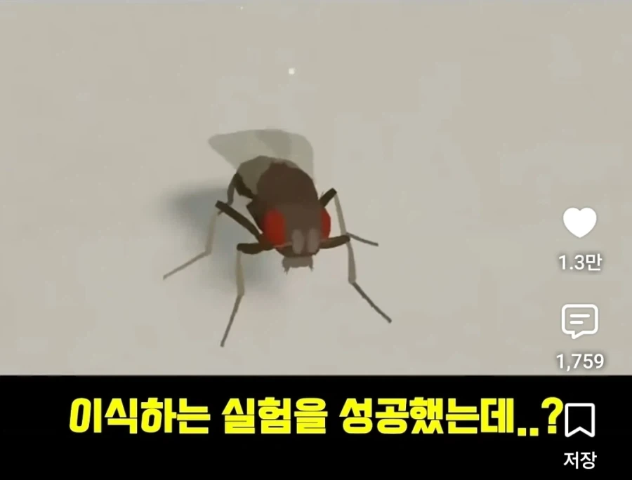 디지털 세계에서 구현화된 초파리의 신비 - 이미지 4