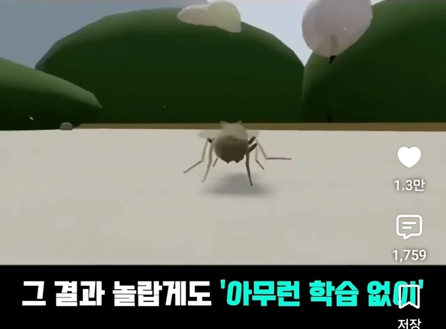 디지털 세계에서 구현화된 초파리의 신비 - 이미지 5