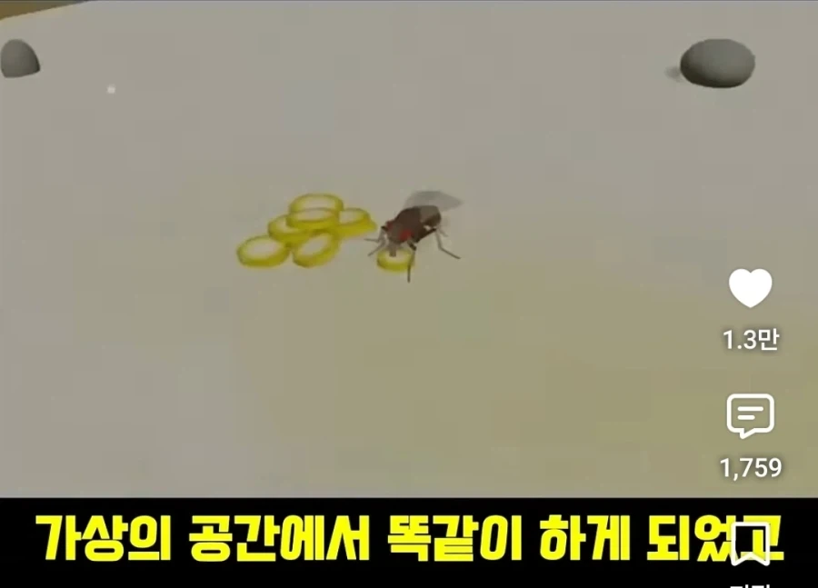 디지털 세계에서 구현화된 초파리의 신비 - 이미지 8
