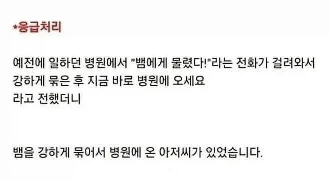 강하게 묶은 후 지금 바로 병원에 오세요.