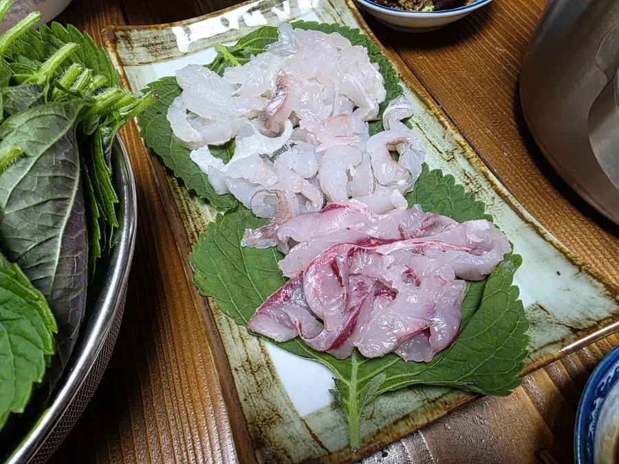 나에게 있어서 회는